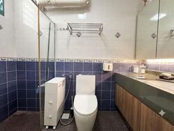 Blk 484 Segar Gardens (Bukit Panjang), HDB Executive #599080111